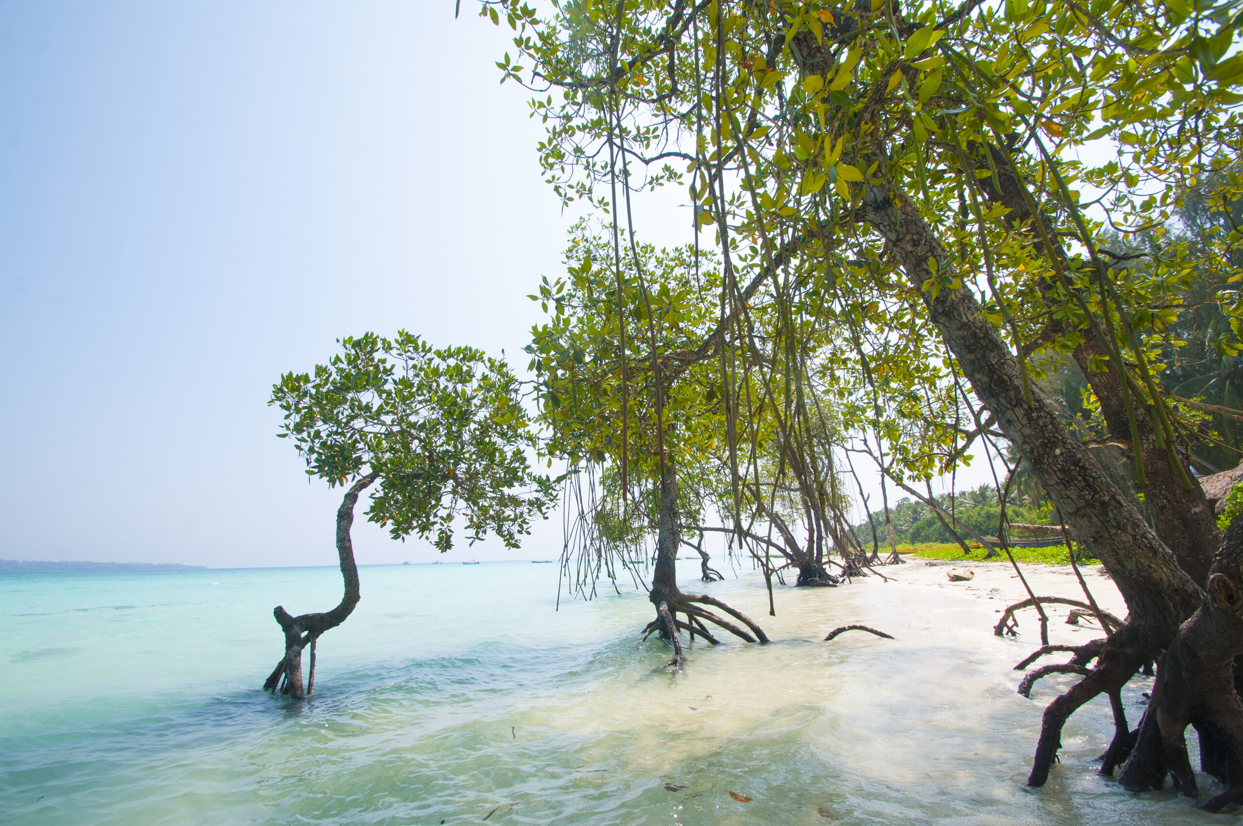 Beach of Andaman and Nicobar Islands, India